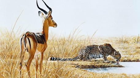 Cheetah and Impala in Harmony wallpaper