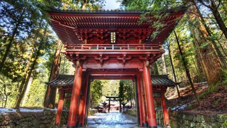 Temple Gate Serenity in the Forest wallpaper
