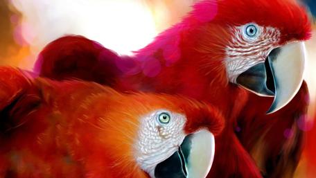 Crimson Beauty Double Parrots wallpaper