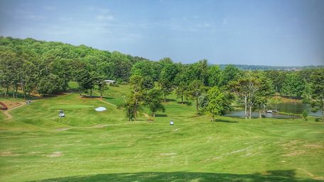 Serene Golf Course Landscape in Vibrant Greenery wallpaper