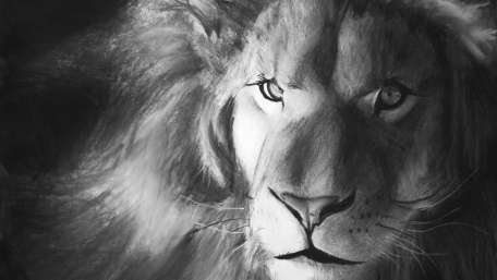 Majestic Lion Art Wallpaper wallpaper