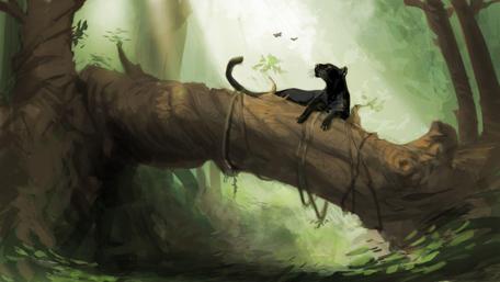 Majestic Black Panther in Lush Forest Scene wallpaper