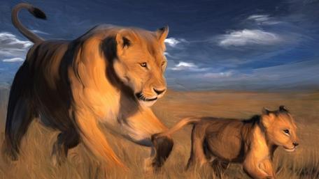Majestic Lions in Motion wallpaper