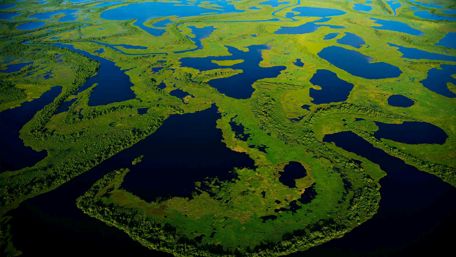 Serene Aerial Views of Lush Wetlands wallpaper