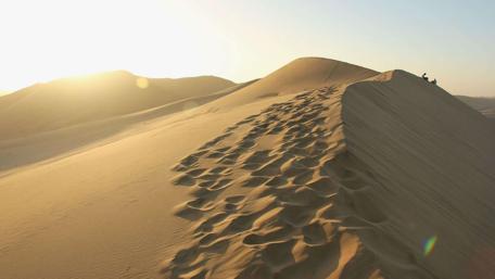 Majestic Coastal Dunes of Namibia wallpaper