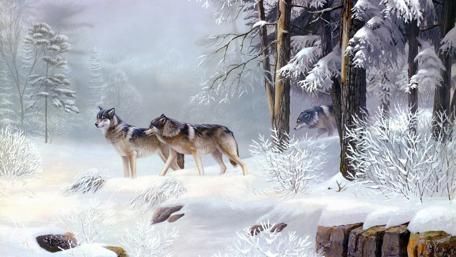 Majestic Wolves in a Winter Wonderland wallpaper