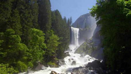 Majestic Cascade in Verdant Forest wallpaper