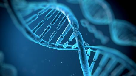 Digital Helix of Life wallpaper