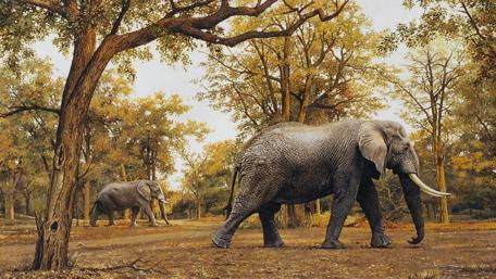 Majestic Elephants in Autumn Landscape wallpaper