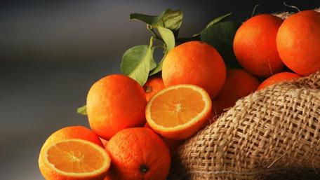 Fresh Citrus Delight wallpaper