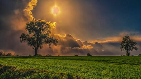 Sunset Symphony over Serene Fields wallpaper