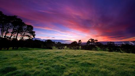 Vibrant Sunset Over Serene Field wallpaper