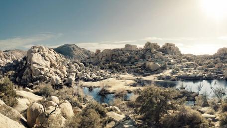 Mojave Desert - Joshua Tree National Park wallpaper
