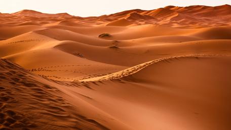 Golden Sands of Serenity wallpaper