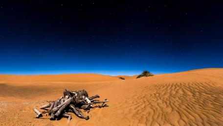 Starry Night Over Desert Dunes wallpaper