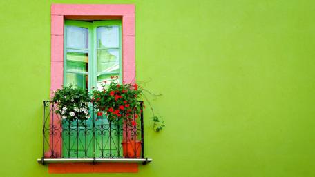Green wall with green window wallpaper