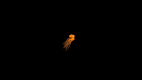 Octopus head wallpaper