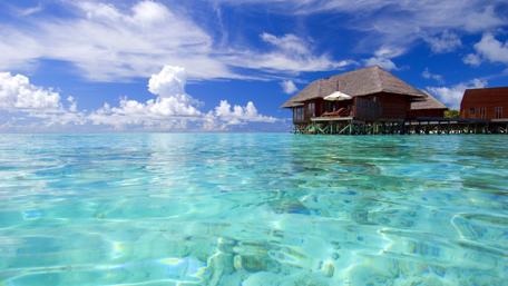 Tranquil Summer Oasis by the Sea wallpaper