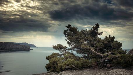 Stormy Coastal Serenity in 4K wallpaper