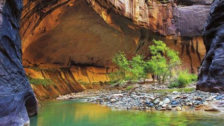 Majestic Canyon View with Lush Greenery and Still Water wallpaper
