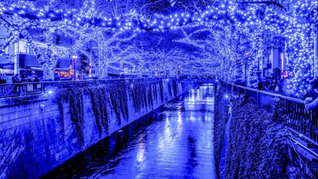 Tokyo River Lights at Night wallpaper