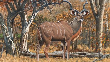 Majestic Antelope in Autumn Landscape wallpaper