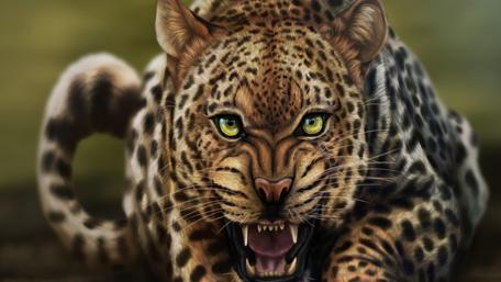 Fierce Leopard in the Wild wallpaper