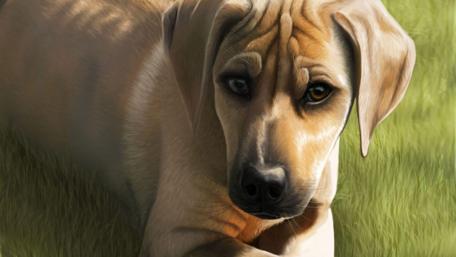 Golden Retriever Art in Serene Nature Scene wallpaper