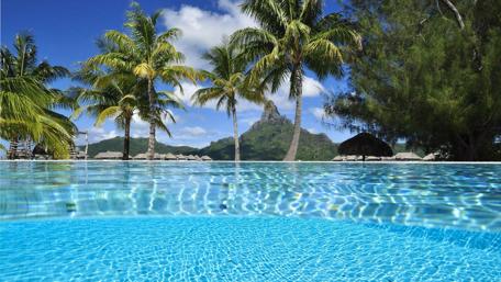 Tropical Paradise under the Palms wallpaper