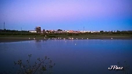 Tranquil Evening at the Wetlands wallpaper
