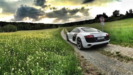 Audi R8 in a Serene Flower Field Landscape wallpaper