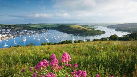 Tranquil Salcombe Harbour View wallpaper