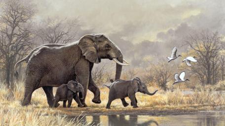 Elephants in Serene Wilderness Scene wallpaper