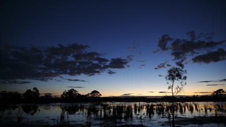 Tranquil Twilight Over Ballarat Marshes wallpaper