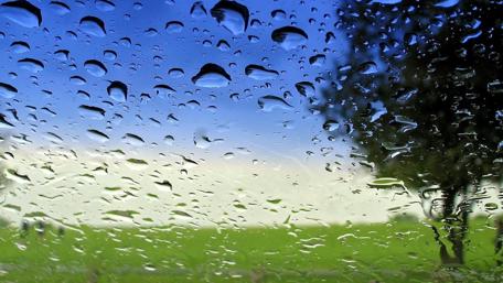 Raindrops on Glass with Nature View wallpaper