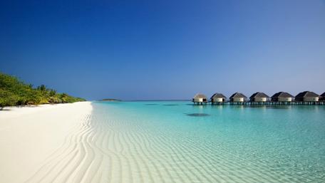 Tropical Serenity on a Sunny Day wallpaper