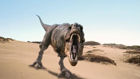 T-Rex Roaming the Desert Sands wallpaper
