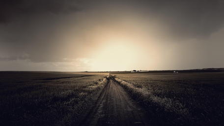 Road Through Autumn Wheat Fields wallpaper