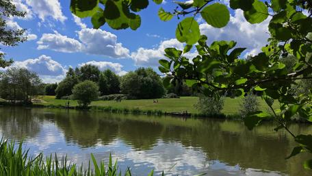 Peaceful Canal View with Lush Greenery and Clouds wallpaper