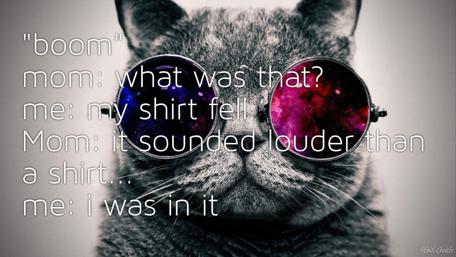 Humorous Cat Conversation wallpaper