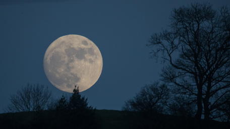 Majestic Full Moon Illuminating the Night Sky wallpaper
