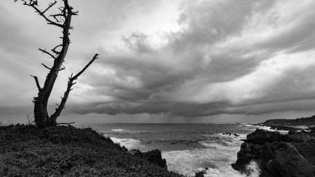Stormy Coastline in Monochrome Mood wallpaper