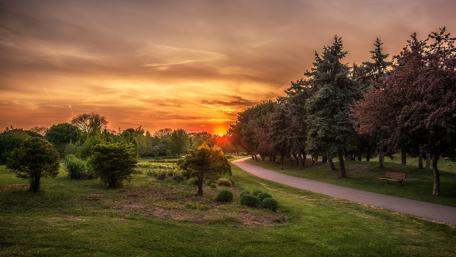 Tranquil Sunrise at a Serene Canadian Park wallpaper