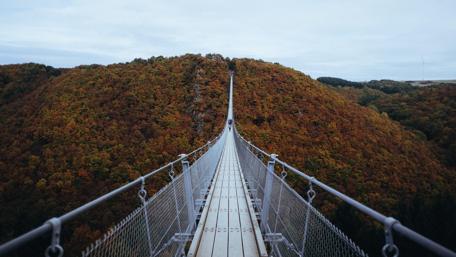 Majestic Bridge Surrounded by Autumn Colors wallpaper