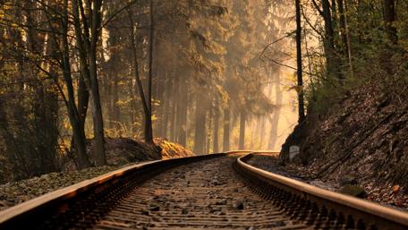 Railroad Through Enchanting Forest Dawn wallpaper