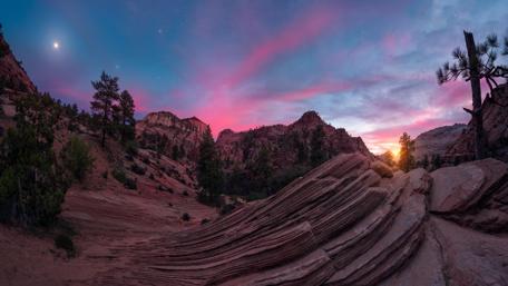 Starry Night in Zion National Park, Utah wallpaper