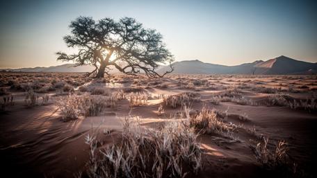 Desert sunrise wallpaper