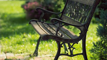 Tranquil Park Bench Amidst Nature's Beauty wallpaper