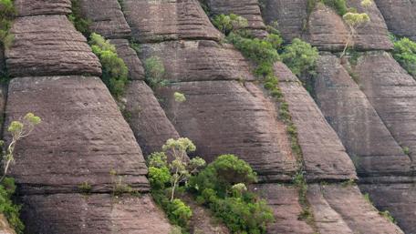 Rock Wall Majesty in Nature's Embrace wallpaper