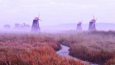 Misty Windmills in a Serene Landscape wallpaper